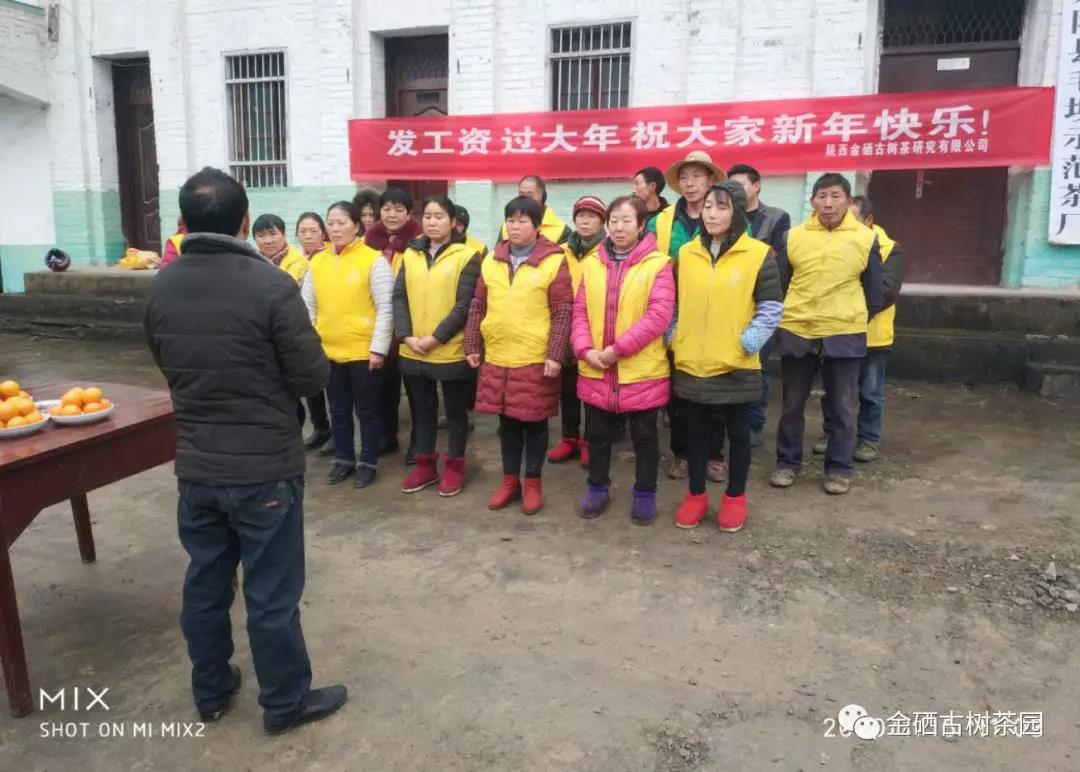 發工資，過大年！關坪山田園綜合體2019完美收官(圖1)